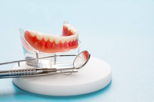 Best General Dentistry  in Mayo, MD